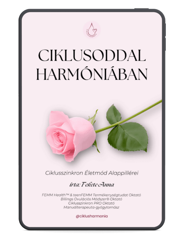 Ciklusoddal harmóniában ebook borító